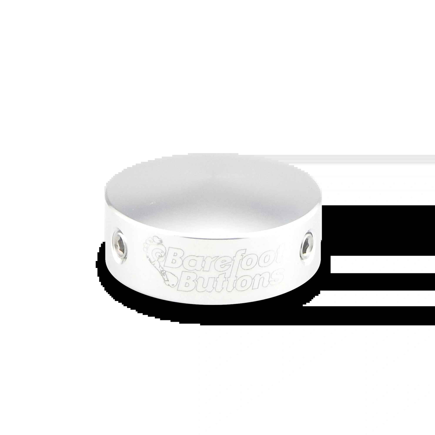 V1 Standard Silver